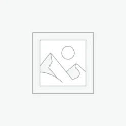AI Trading Bots